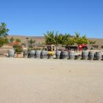 Cambria_2015_0131 (November 07, 2015)